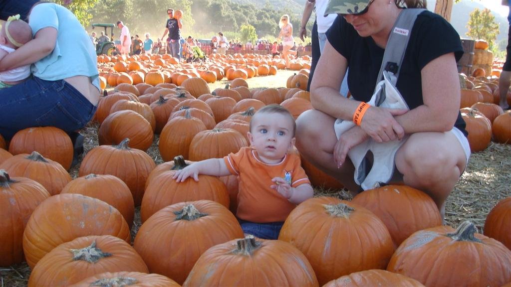 Bates Nut Farm - Oct 2009