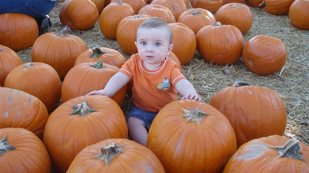 Bates Nut Farm - Oct 2009
