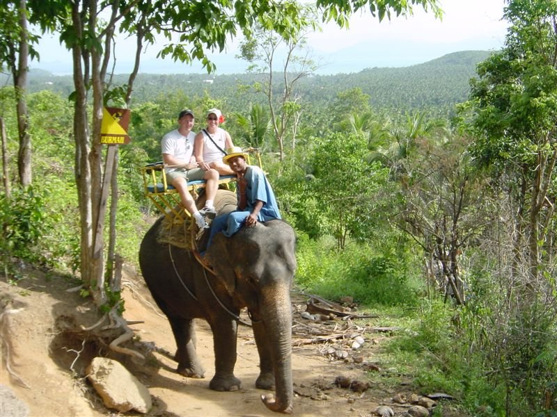 Honeymoon