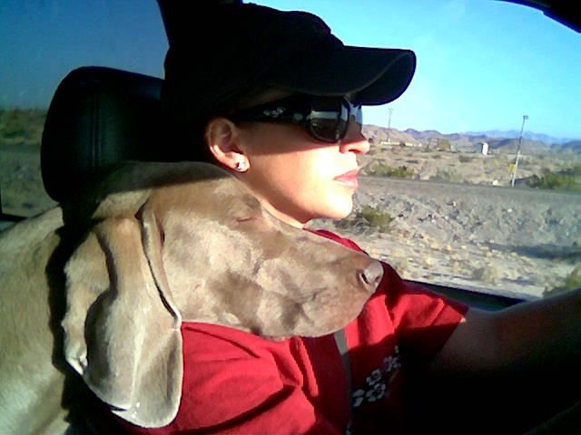 Shadow Sleeping on Jodi's Shoulder