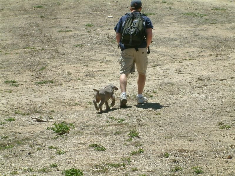 Walk with Me
