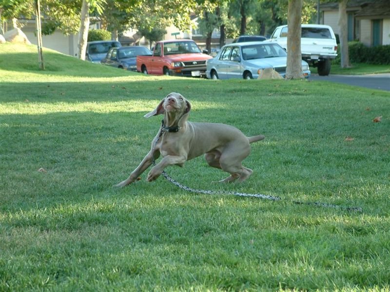 I'm Comin' to Get Ya