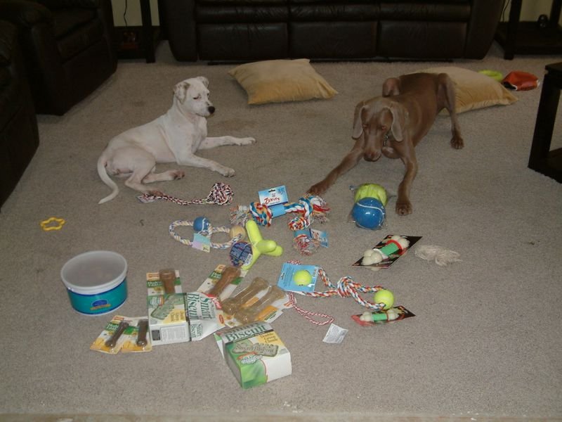 Look at all This Stuff