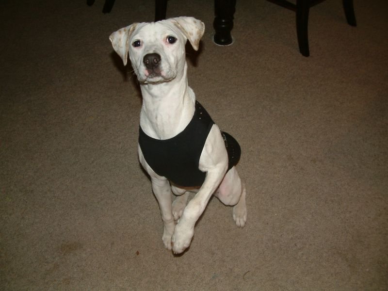Kaya in her Muscle Shirt