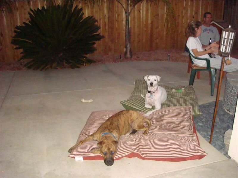 Fargo & Kaya Hangin Outside