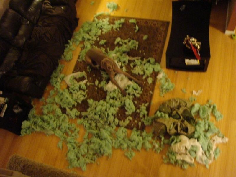 Shadow in the Middle of Destruction
