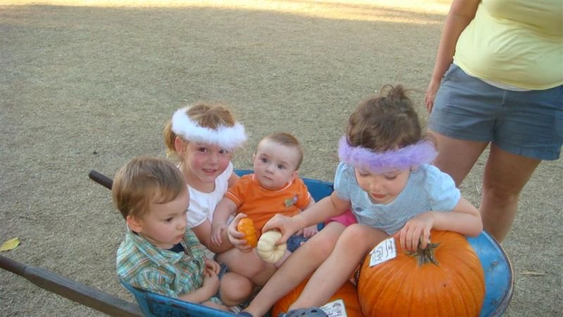 Four Kids in a Wheelbarrow