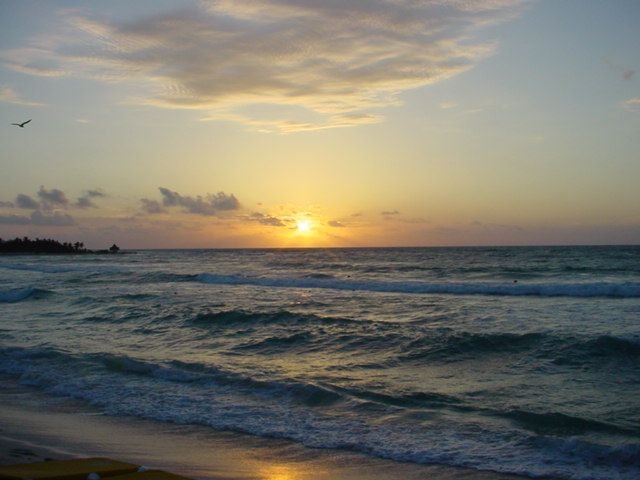 Sunrise 1