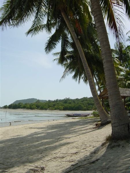 Palm-Beach