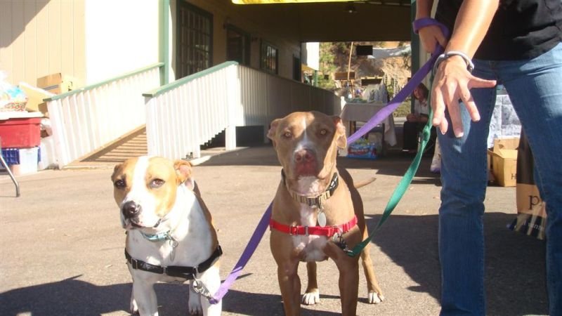 Marley & Sage