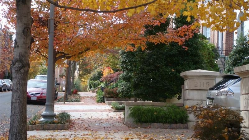 Autumn in DC - Beautiful