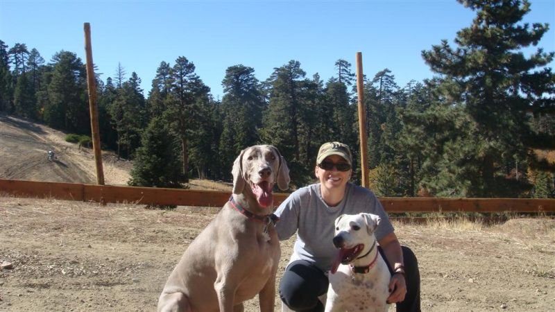 Shadow, Mama, & Kaya