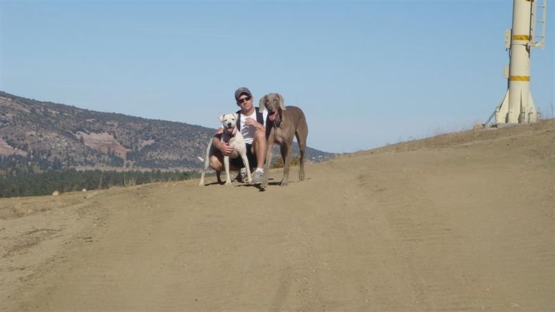 Kaya, Daddy, & Shadow