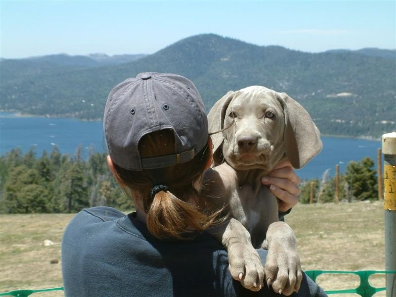 Jodi & Shadow 3