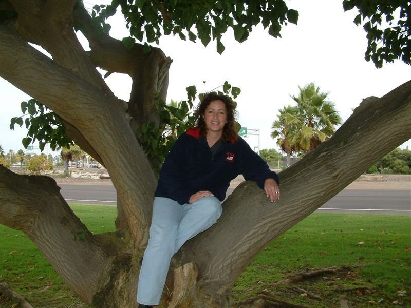 Jodi in a 

Tree